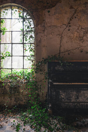 Piano övergivet i ett krukmakeri Piano övergivet i ett krukmakeri