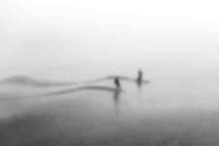 Trio im Nebel
