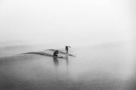 Duo dans la brume