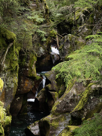 Tableau Mousse et cascade Tableau Mousse et cascade