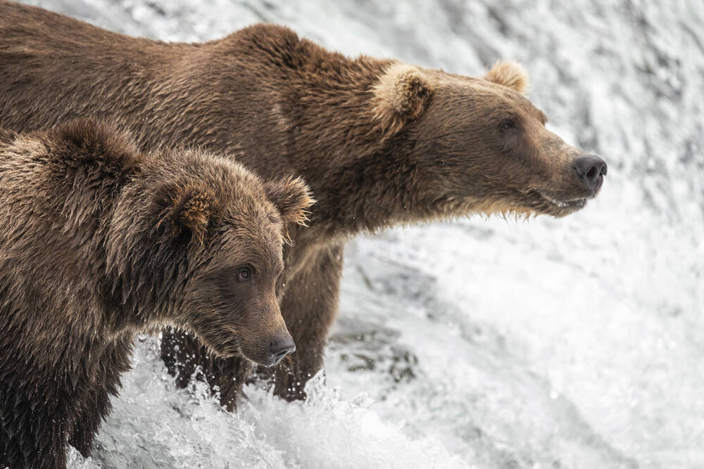 Une leçon de pêche