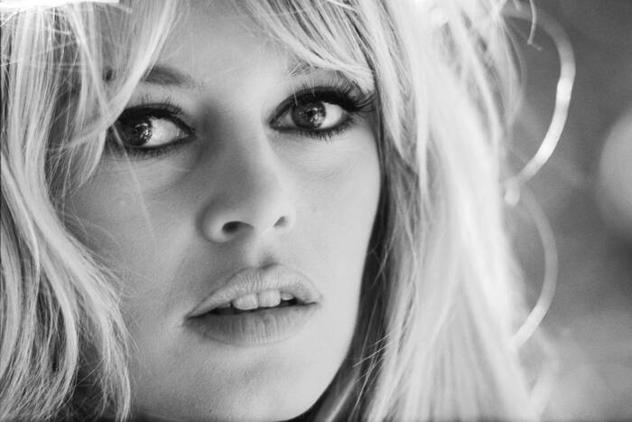 Iconische Bardot van Orlando Suero Iconische Bardot van Orlando Suero