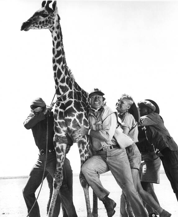 John Wayne en Hardy Kruger