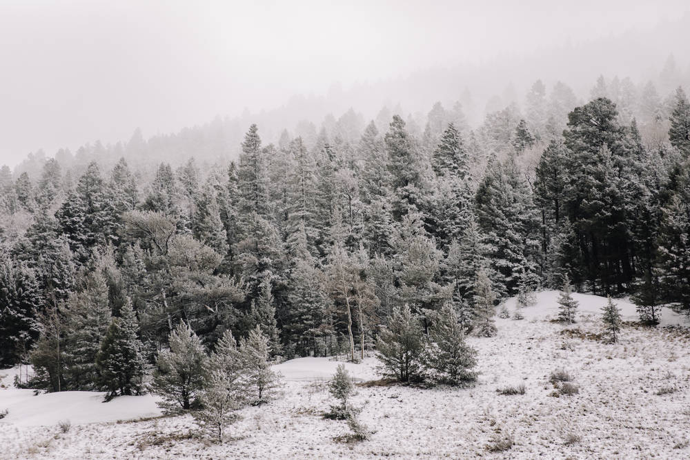 Laatste sneeuwval 11:46 uur