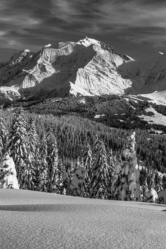 Wald in Hochsavoyen und der Mont-Blanc