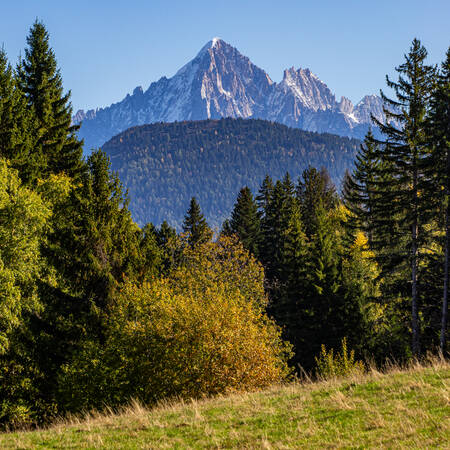 Aiguille verte en ropa verde Aiguille verte en ropa verde