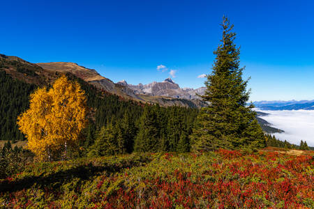 Ambiente y colores otoñales en el Mont Blanc Ambiente y colores otoñales en el Mont Blanc