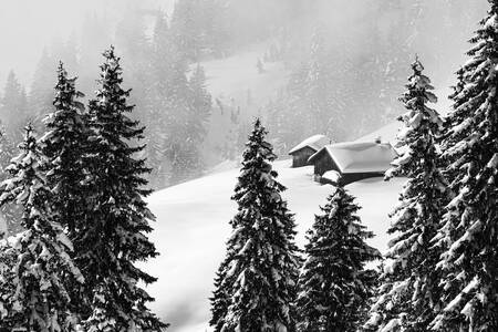 Alpine chalet Alpine chalet