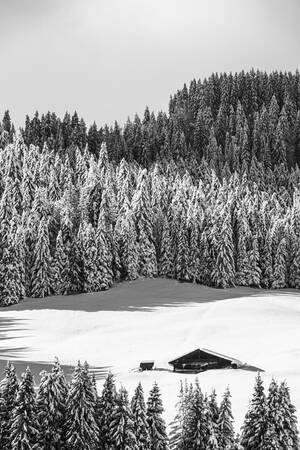 Chalés alpinos y primeras nevadas Chalés alpinos y primeras nevadas