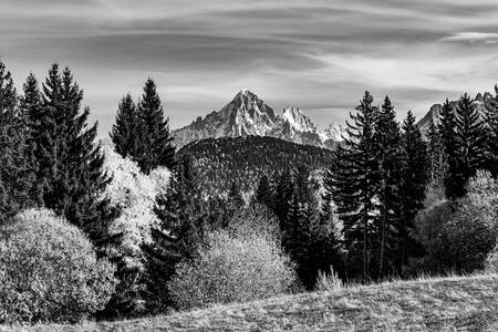 La aguja verde en vestido otoñal y luz La aguja verde en vestido otoñal y luz