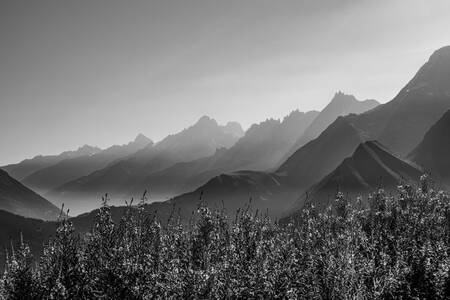 Zonsopgang over de Mont Blanc met wilgenroosjes Zonsopgang over de Mont Blanc met wilgenroosjes