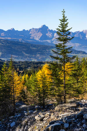 El macizo de Aravis desde las alturas de Megève 2 El macizo de Aravis desde las alturas de Megève 2