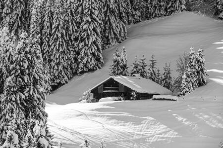 Luz invernal y chalés de montaña Luz invernal y chalés de montaña