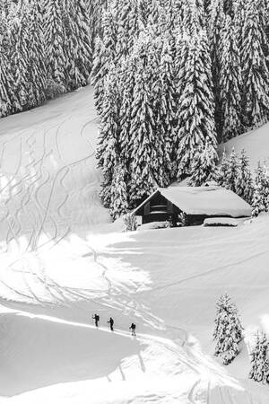 Esquí de travesía Esquí de travesía