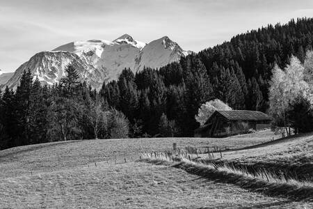 Paseos otoñales por el Mont Blanc Paseos otoñales por el Mont Blanc