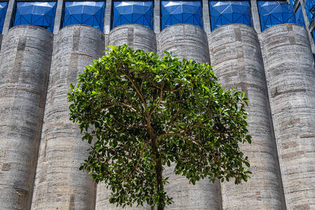 Museo Zeitz Mocaa - Ciudad del Cabo 2 Museo Zeitz Mocaa - Ciudad del Cabo 2