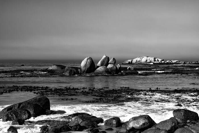 Boulder beach cape point Boulder beach cape point