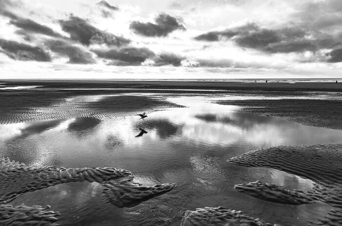 La mouette - Opalkusten La mouette - Opalkusten