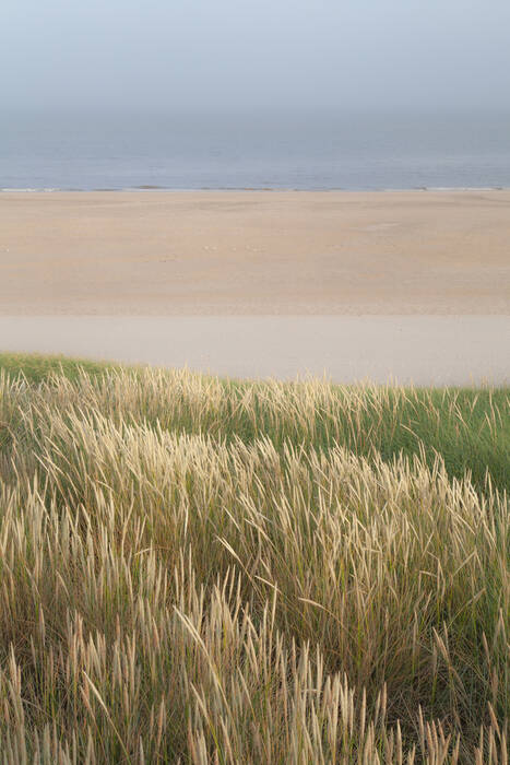 Oyats och kusten i Opal Coast 2 Oyats och kusten i Opal Coast 2