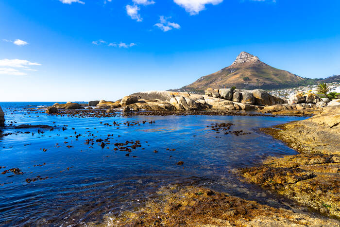 Lion's head depuis bakoven beach Lion's head depuis bakoven beach