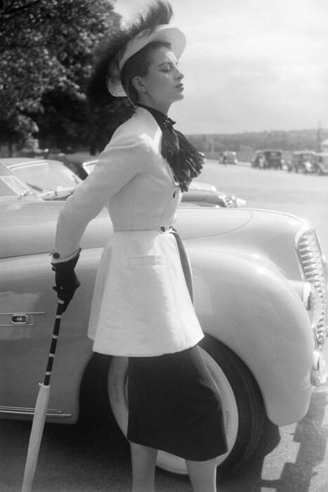 nasturtium nasturtium