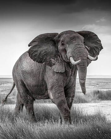 RAKT I ÖGONEN RAKT I ÖGONEN