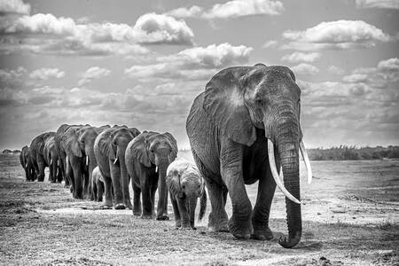 GÅNGEN FRAMÅT GÅNGEN FRAMÅT