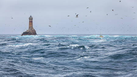 Ligneur in Raz de Sein Ligneur in Raz de Sein