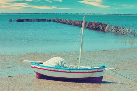 Tableau Patience Tableau Patience