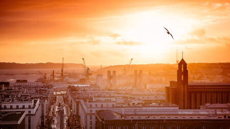 golden brest golden brest