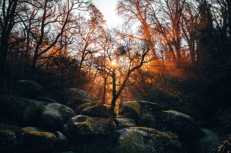 Le soleil se lève sur Huelgoat Le soleil se lève sur Huelgoat