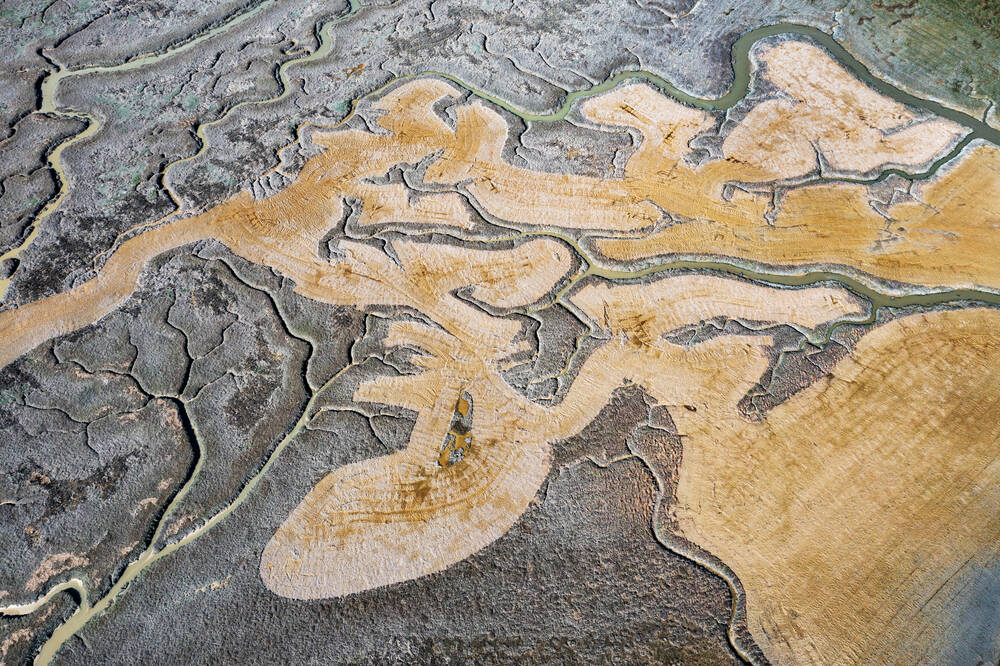 Maaien in de Sommebaai