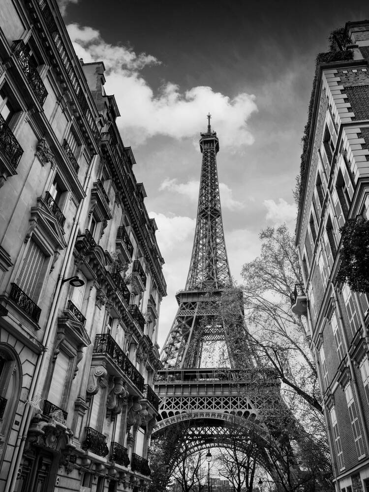 Perspective Parisienne Intemporelle