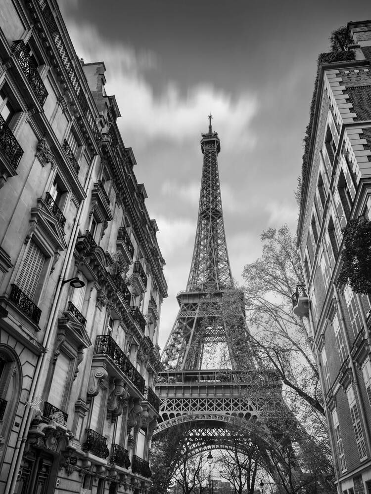 Une Perspective Parisienne Intemporelle