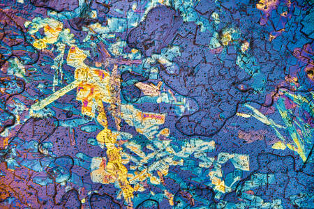 Fleur de sel onder de microscoop