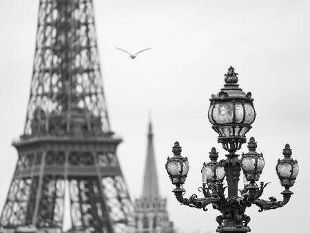 De Seine neemt een vlucht