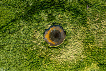 The eye of the chameleon The eye of the chameleon