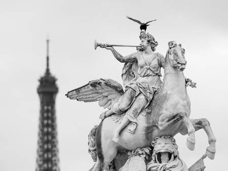 Gerenommeerde Pegasus