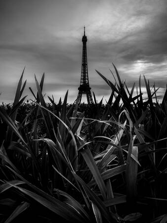 De Eiffeltoren in een groene omgeving