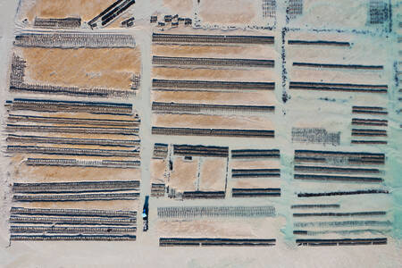 De oesterbanken van Cancale