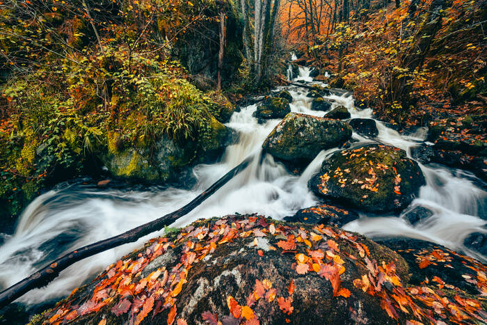 La rivière la canche La rivière la canche