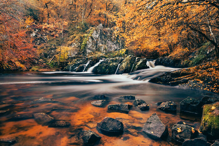 Une rivière en sous-bois dans une forêt du Morvan pendant l'automne La Cure Une rivière en sous-bois dans une forêt du Morvan pendant l'automne La Cure
