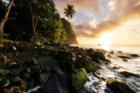 Anse couleuvre vid solnedgången Anse couleuvre vid solnedgången