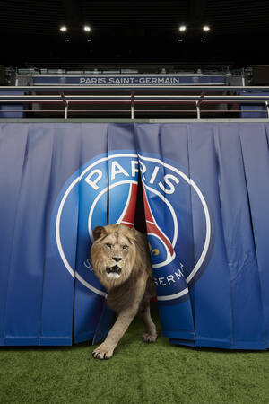 La porte des lions La porte des lions