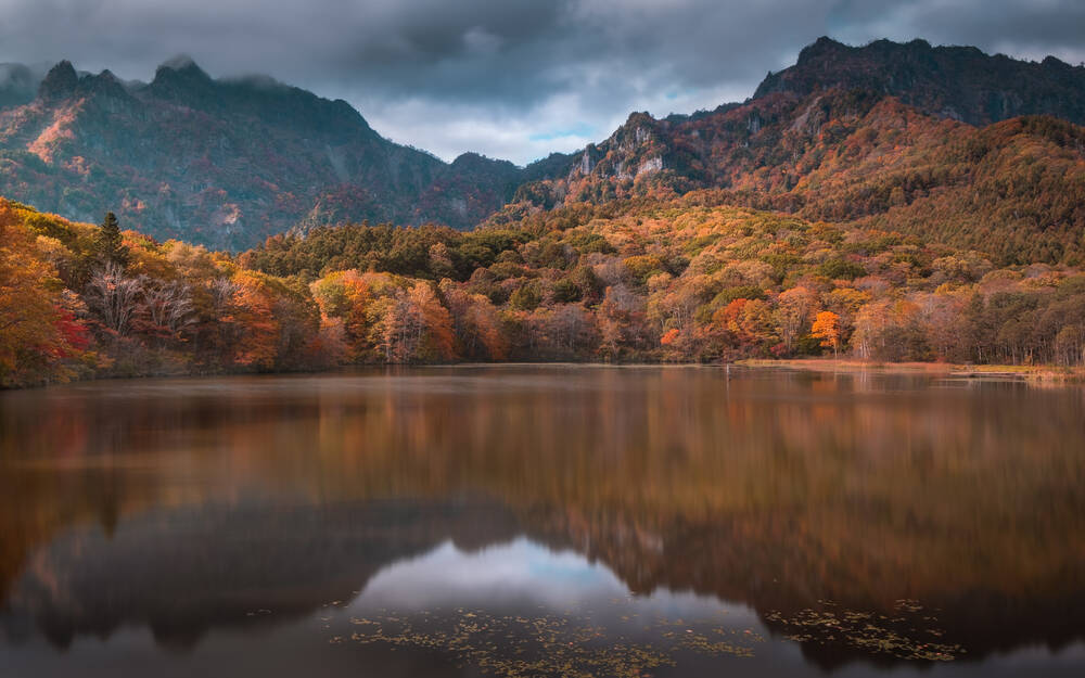 Kagami Ike lays eggs