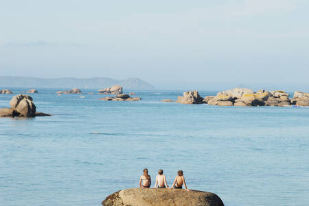 Sommerfreunde Sommerfreunde