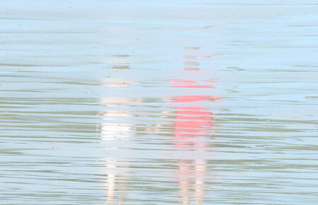 Umgekehrte Spiegelungen Paar Umgekehrte Spiegelungen Paar