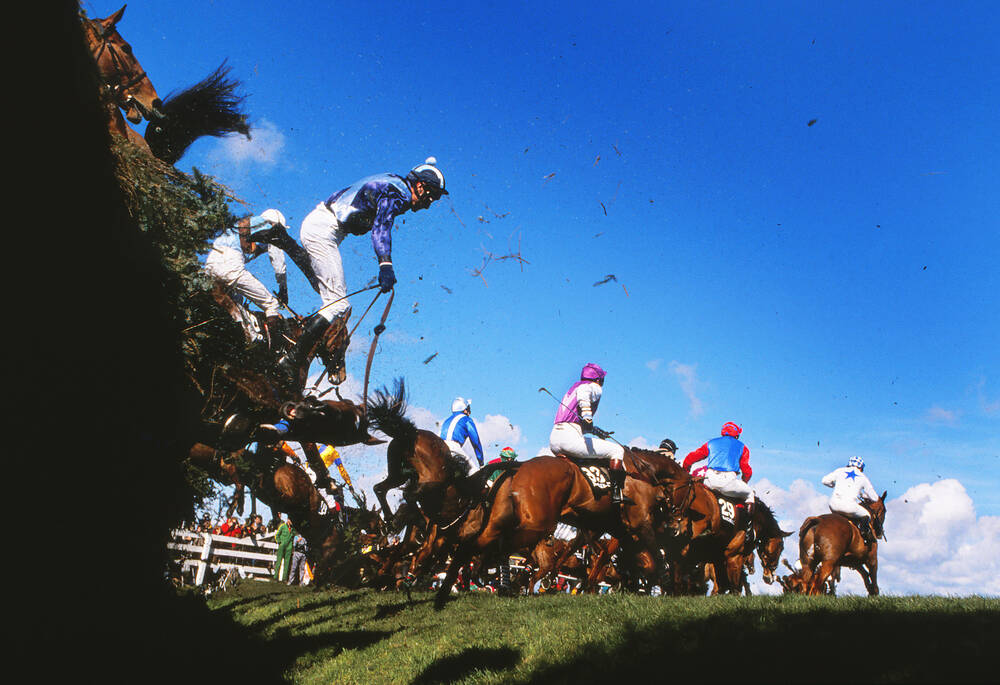 Grand National (1989) Bild Kaufen / Verkaufen