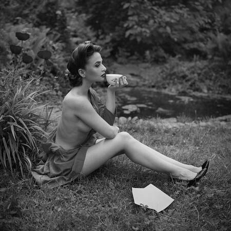 Kungligt te med aromer Kungligt te med aromer