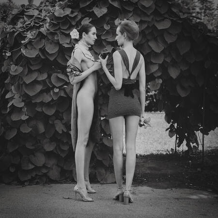 Jardins de thé_2 Jardins de thé_2